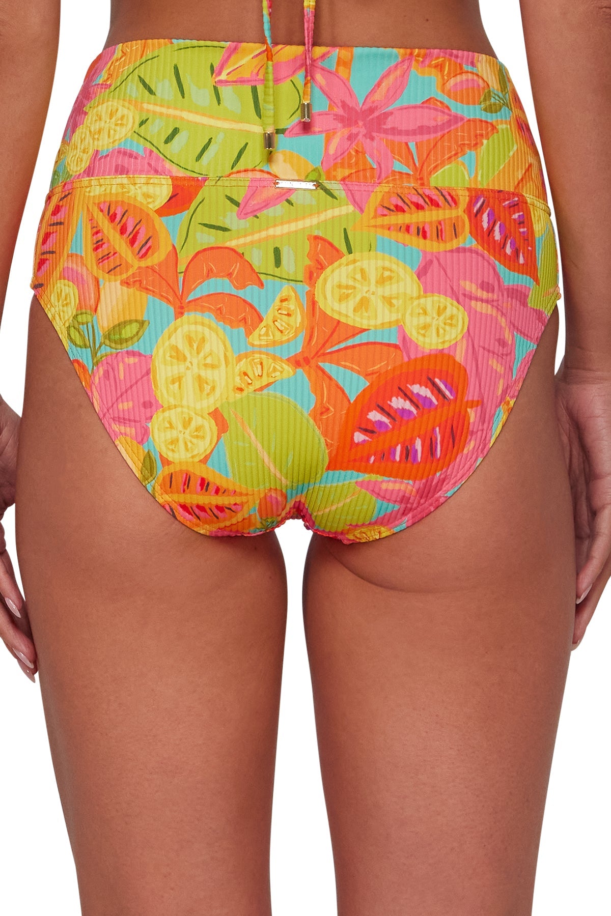 Sunsets Citrus Grove Sandbar Rib Hannah High Waist Bottom