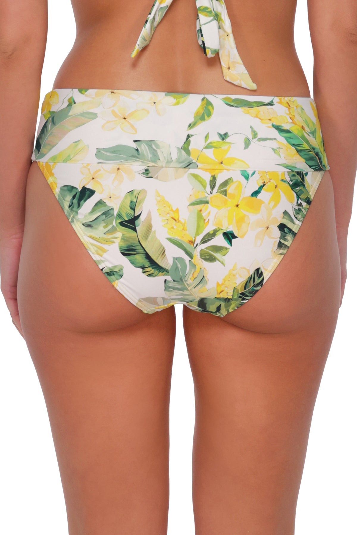 Sunsets Isla Soleil Crepe Hannah High Waist Bottom