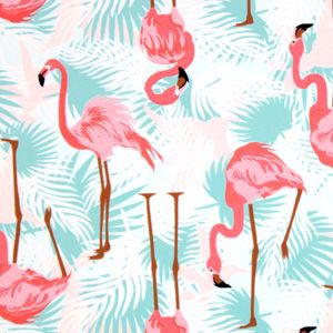 Ruffle Butts Flamingo Boys Swim Trunks